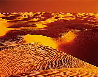 有些玩家选择主动放弃《怪物猎人：荒野》的最强武器